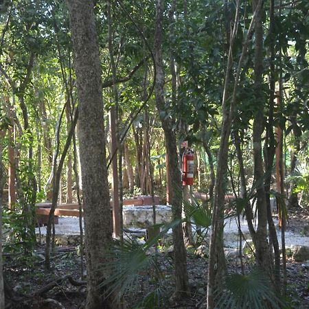 טולום Glamping Mayan Glam מראה חיצוני תמונה