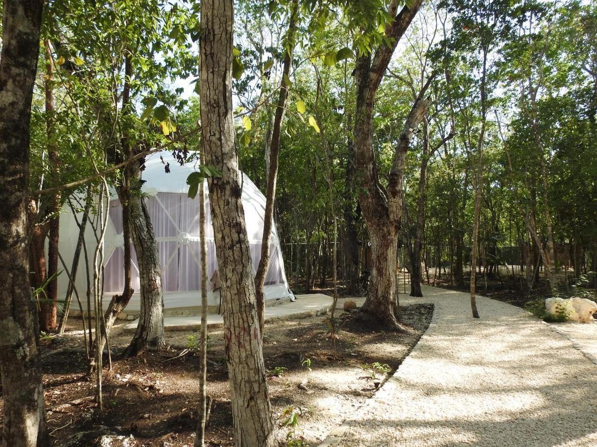 טולום Glamping Mayan Glam מראה חיצוני תמונה