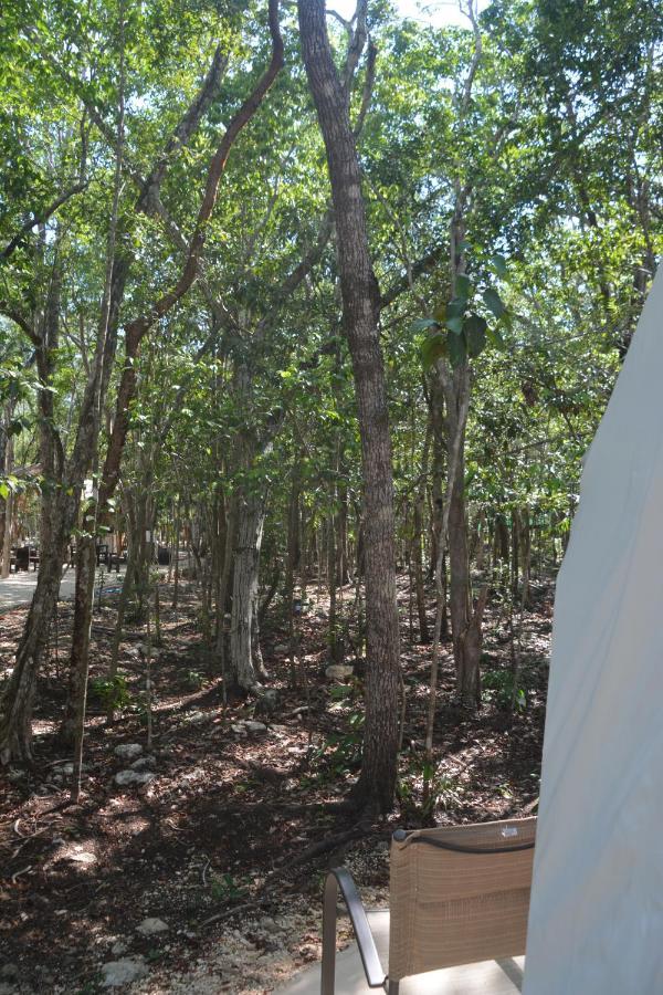טולום Glamping Mayan Glam מראה חיצוני תמונה