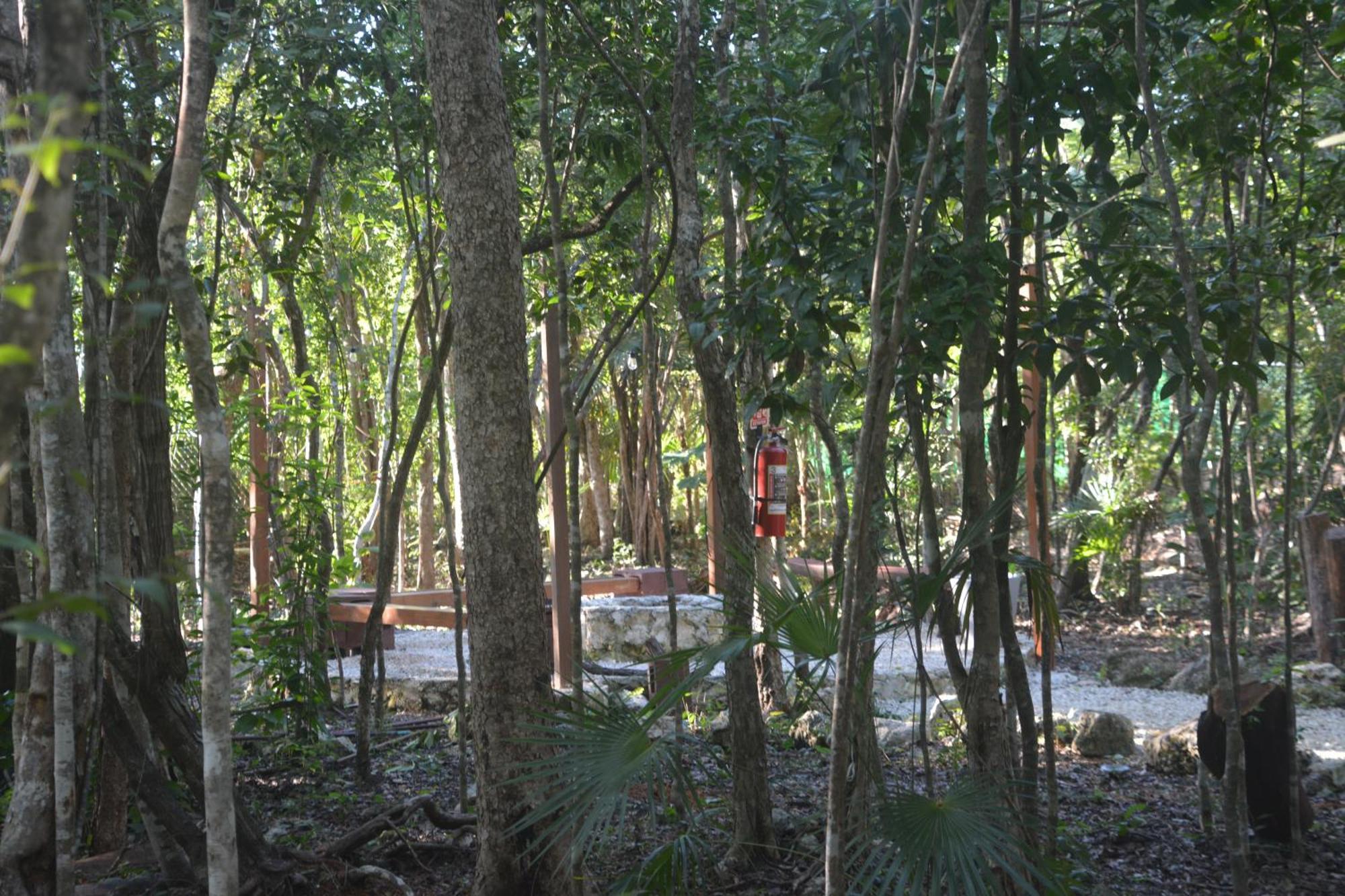 טולום Glamping Mayan Glam מראה חיצוני תמונה